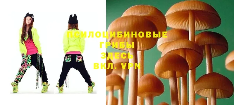 Псилоцибиновые грибы Magic Shrooms  Буинск 